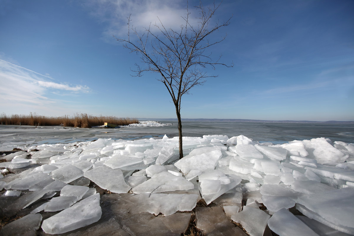 landscape15 gallery