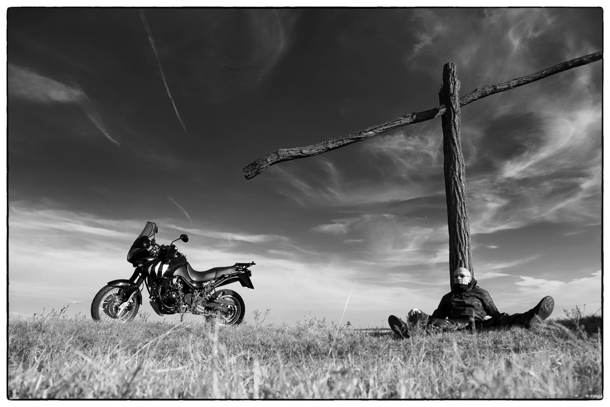 p50 gallery