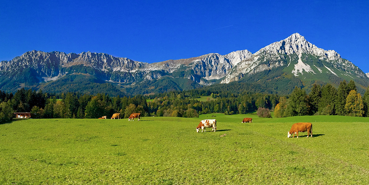 landschaftsfoto photofabian gallery