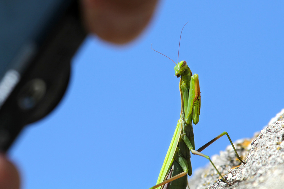 naturfoto photofabian gallery